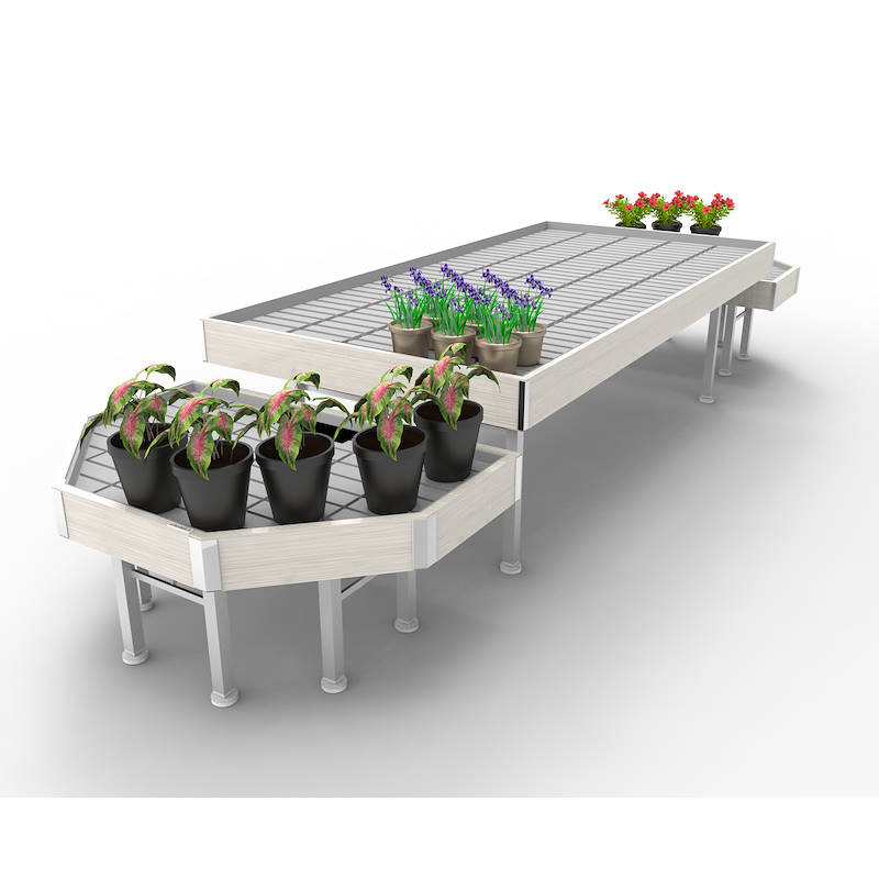 Promotion Set wood line AMOR, Exhibition Set: width 1260 mm, Color: White wood, Box: 5 Sets