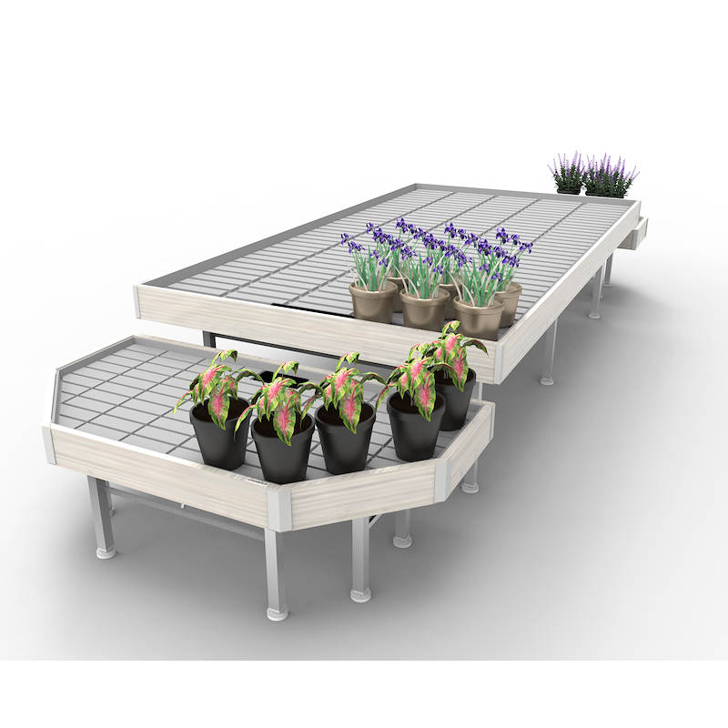 Promotion Set wood line AMOR, Exhibition Set: width 1660 mm, Color: White wood, Box: 3 Sets