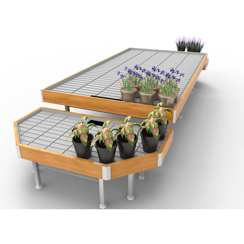 Promotion Set wood line AMOR, Exhibition Set: width 1660 mm, Color: Natural Wood, Box: 5 Sets