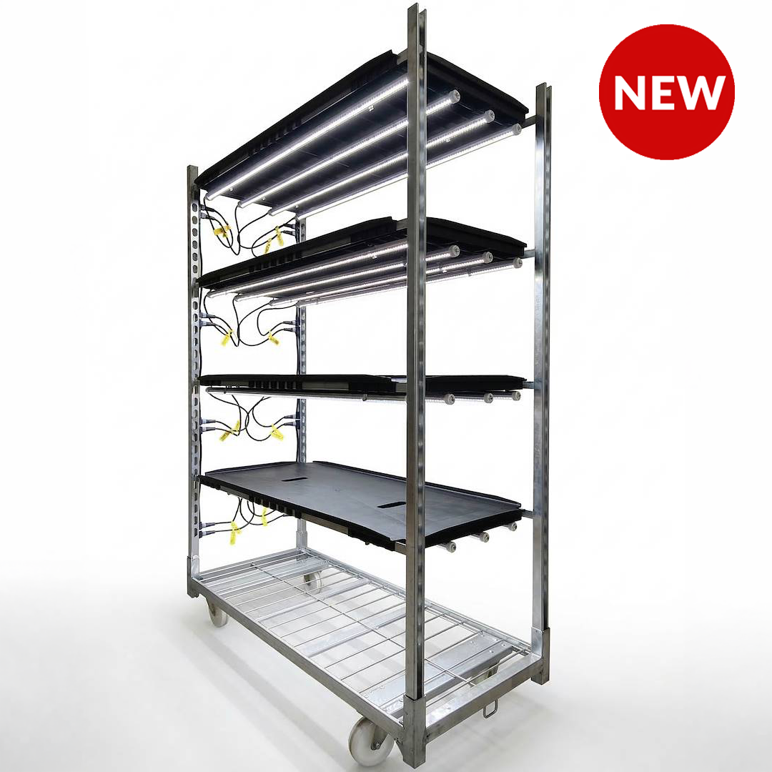 Clone-master PRO, Optional: Senza Vaschette DC, Pacchetto: 1 Carrello