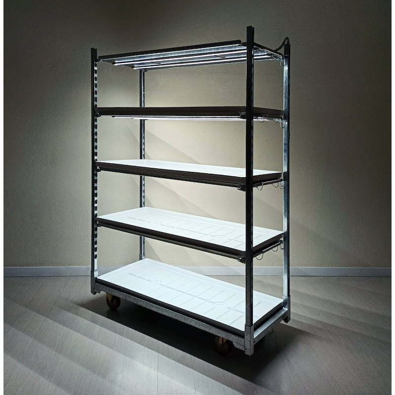 Carrito DC con kit de iluminación led para GERMINACIÓN E INJERTO, Optional: Con bandeja DC, Paquete: 18 carritos DC, Rellanos: 4 estantes con luces