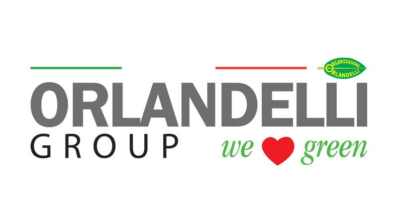 Orlandelli Group LLC