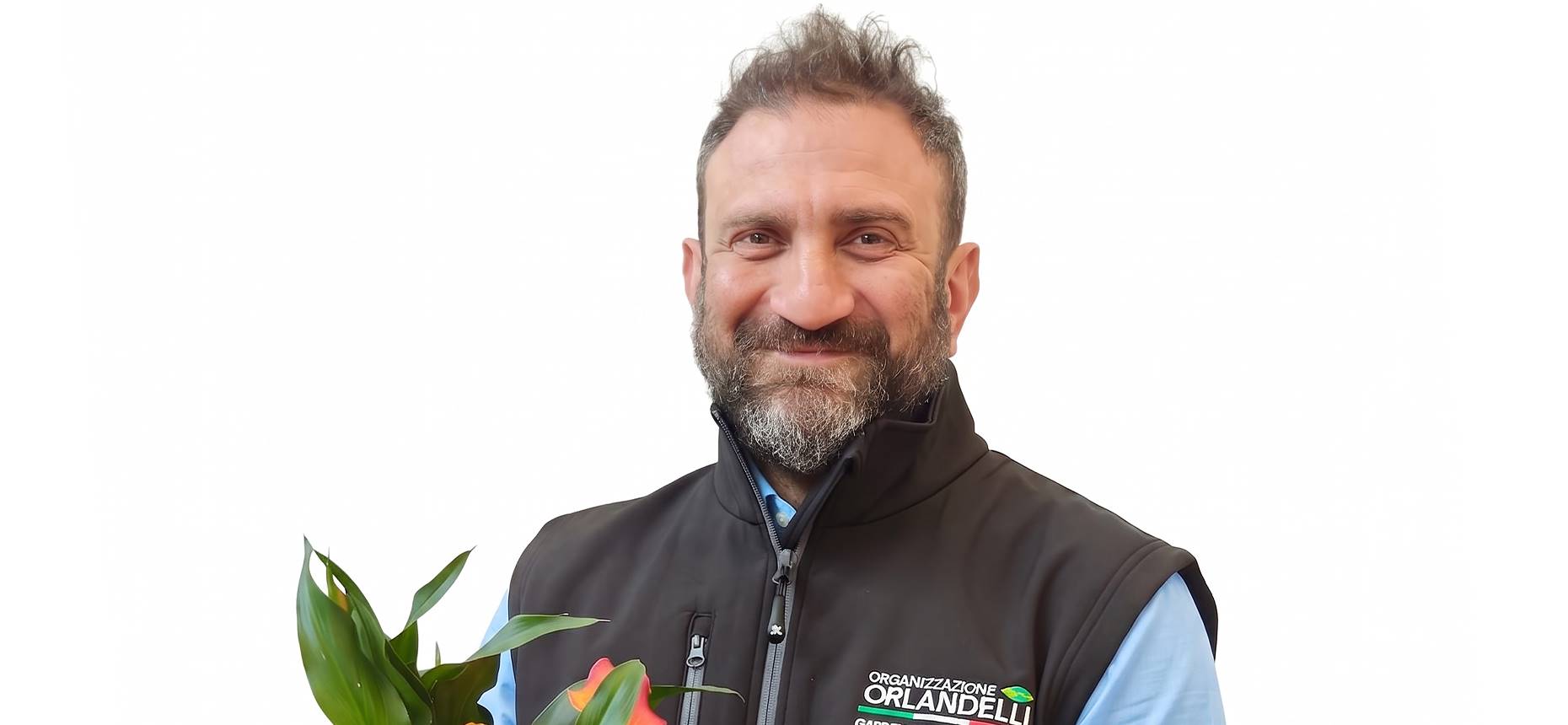 Nicola Allodi