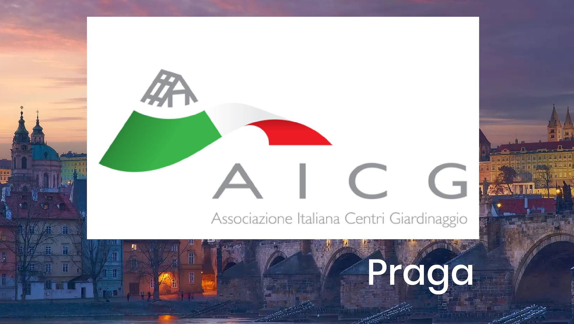 Organizzazione Orlandelli a Praga con AICG