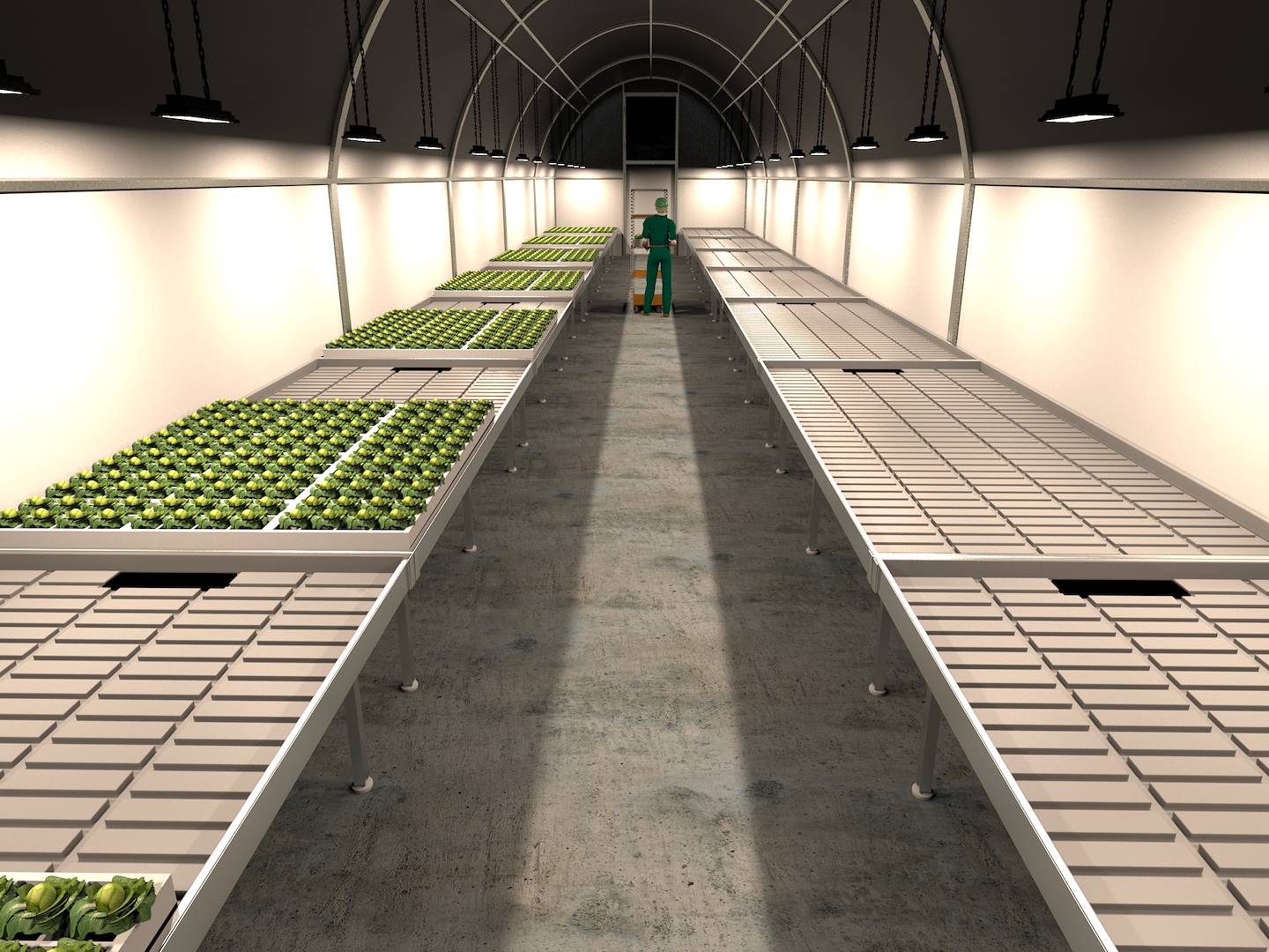 Format SERRA - LED FOR GROWERS