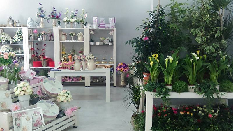 Vrtlarija Saric, un nuevo punto de venta de plantas y flores en Livno