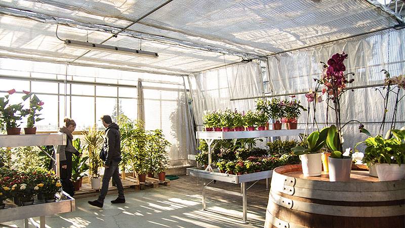 Agriflora: turning a passion into a job
