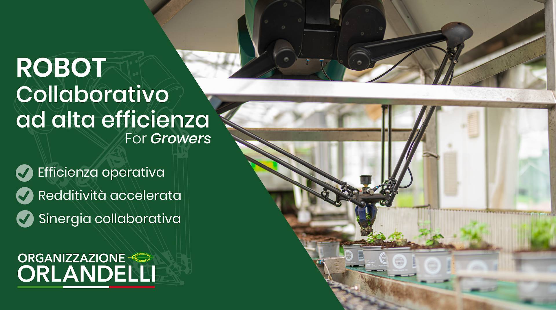 Llega el robot que revoluciona la agricultura: eficiencia récord en los invernaderos du futuro