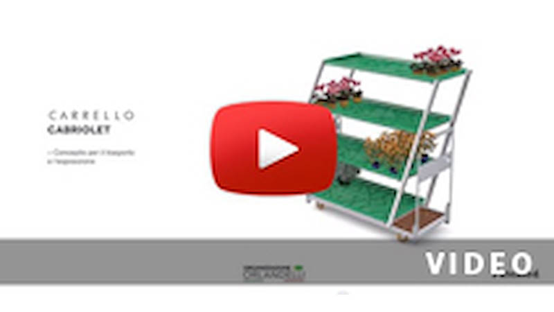 CABRIOLET CART: from transportation to exhibition in one CLICK