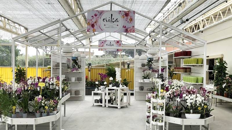 Neuer Look für Erika Vivai Mancinelli