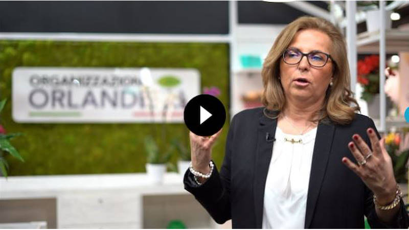 Garden Center Identity e soluzioni d'arredo Orlandelli