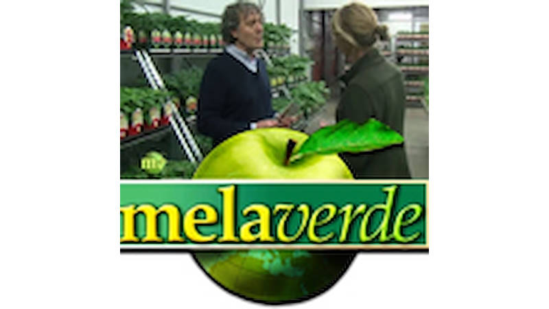 I prodotti di Orlandelli a Melaverde