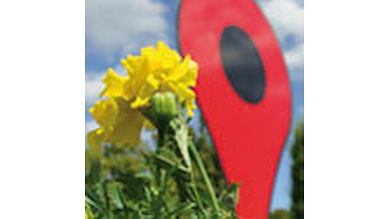 Il nostro Googlegiardino