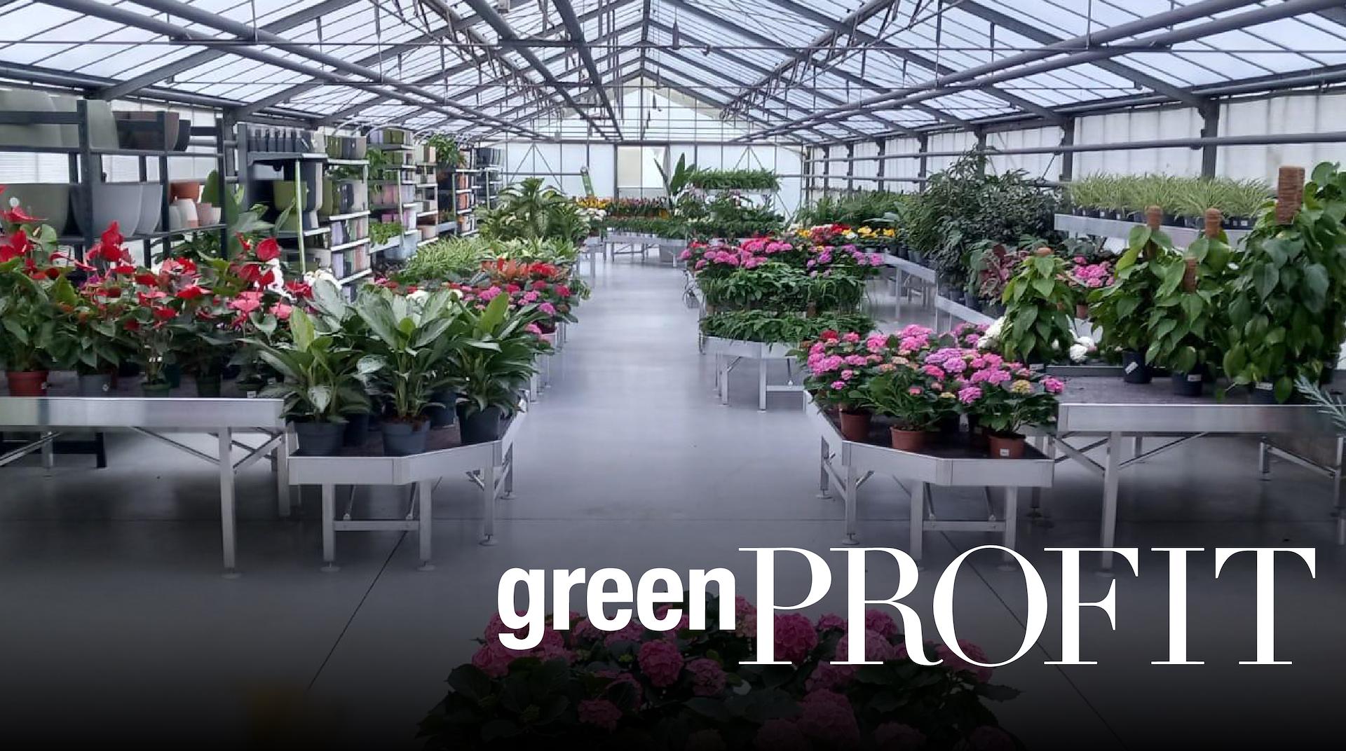 Estratto da GreenProfit: Intervista a Marco Orlandelli