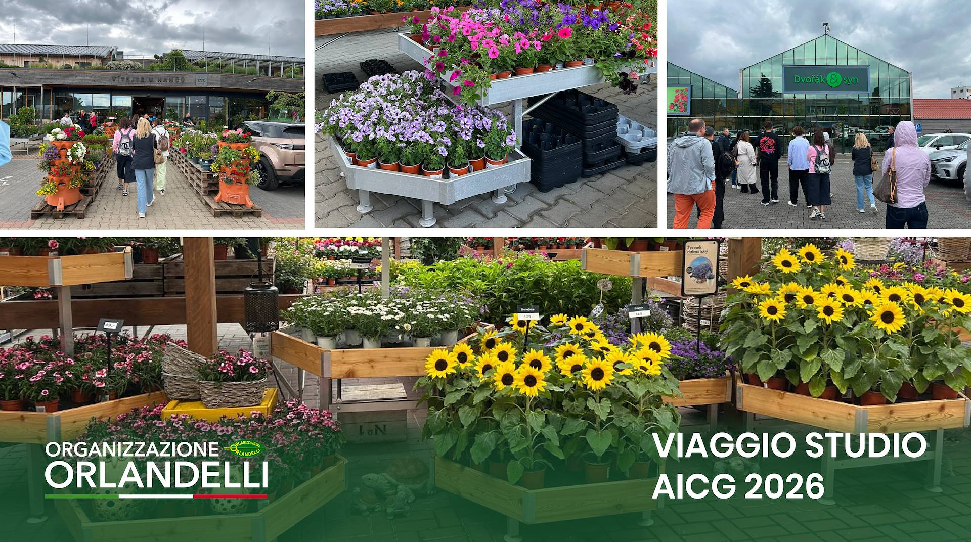 Organizzazione Orlandelli a Praga con AICG