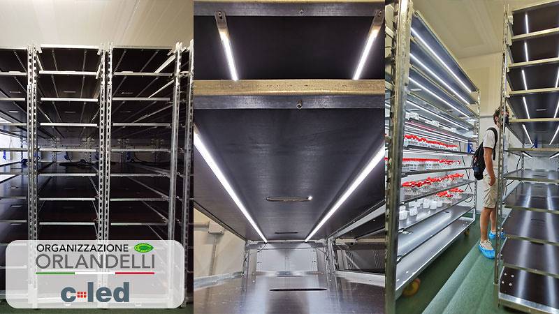 New DC trolleys with C-LED lighting kit