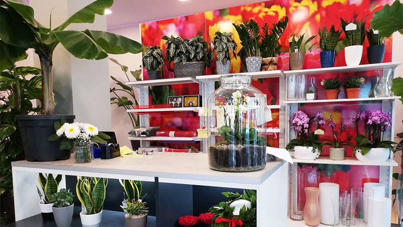 El "Oasi dei fiori" de Milán se renueva con un diseño juvenil y elegante