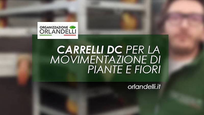 Programmazione dei carrelli DC per la movimentazione di piante e fiori