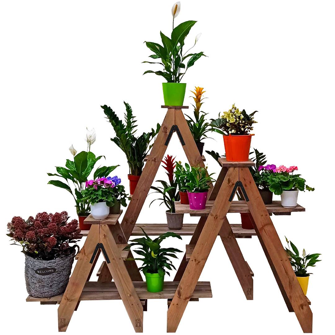Ladders for plants and flowers, Color: Natural Wood, Box: Single