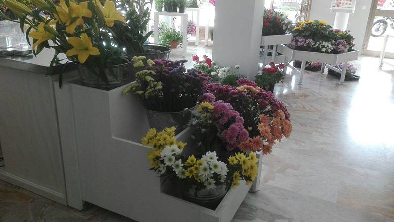 Sogno Fiorito, il nuovo Flower Shop