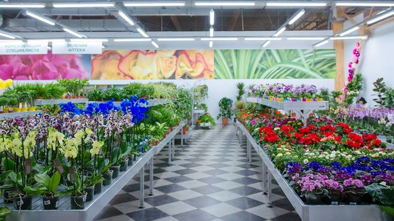 VASH SAD, il nuovo garden center ad Odessa