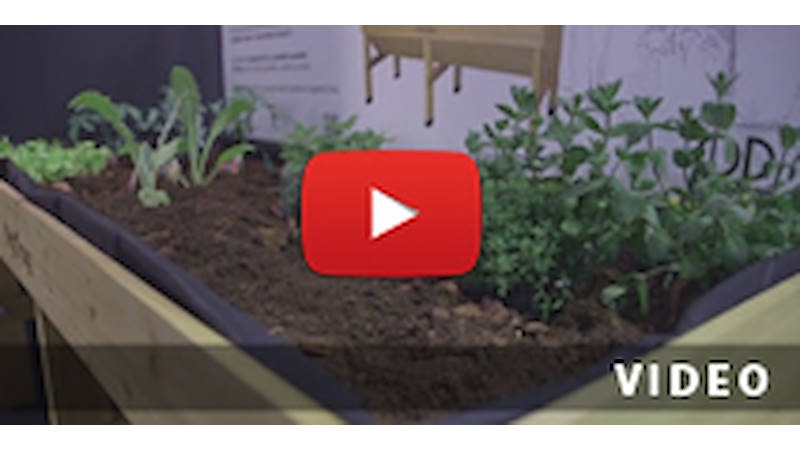 VegTrug: il sistema ideale per la coltivazione di piante da orto