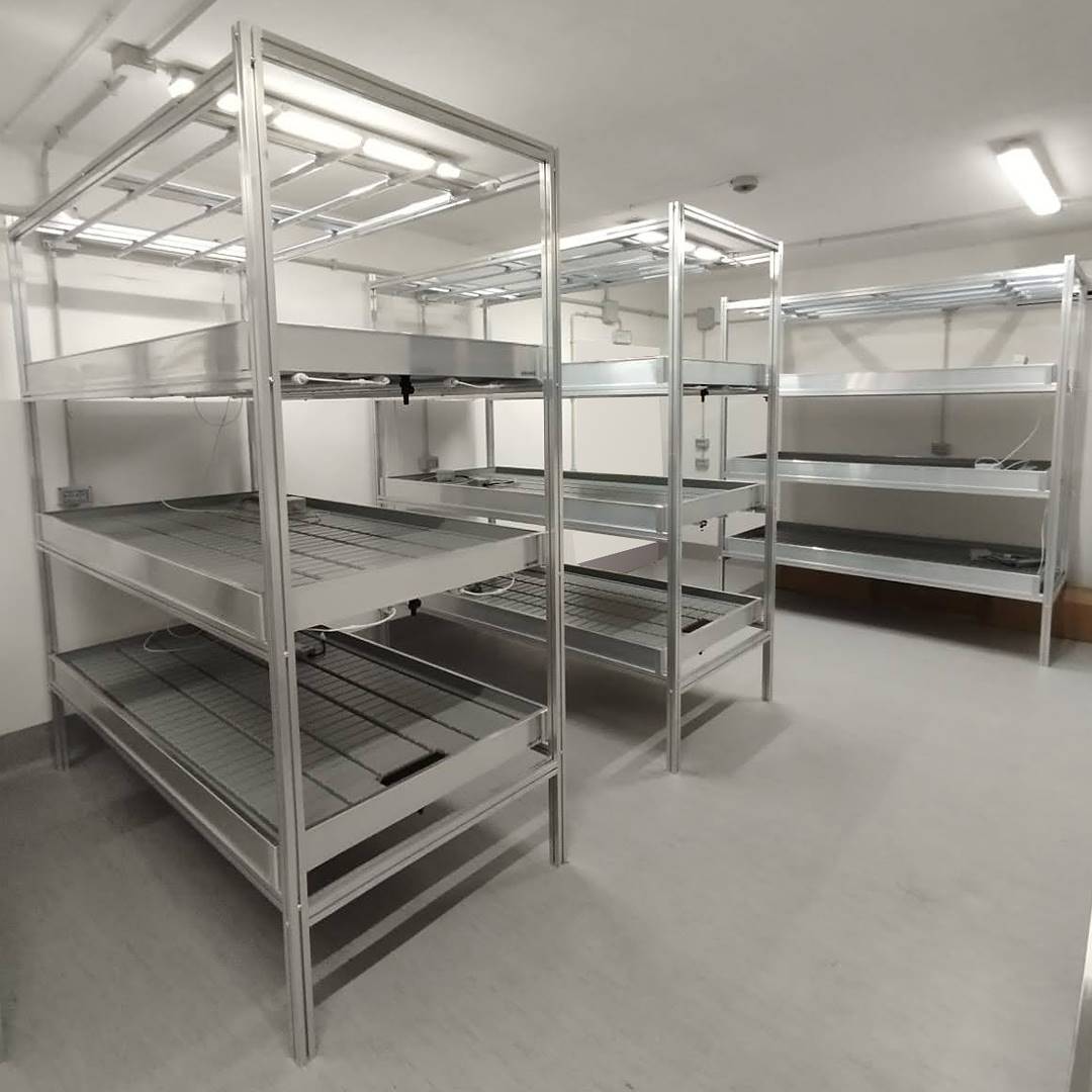 sistema de cultivo vertical, Kit de led: 4 lámparas por estante, Forma: 3 estantes, Dimensión: 1025 x 2055 mm