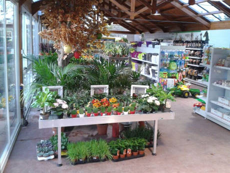 JARDIDEA, le nouveau centre jardinerie  à deux pas de Madrid