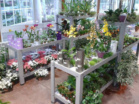 JARDIDEA, le nouveau centre jardinerie  à deux pas de Madrid