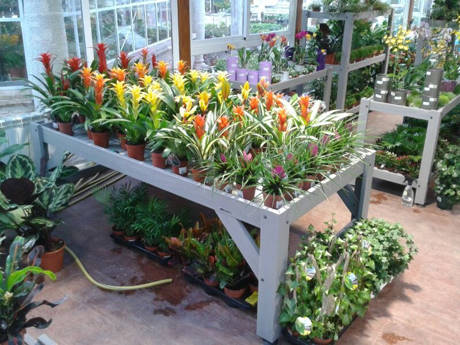 JARDIDEA, le nouveau centre jardinerie  à deux pas de Madrid