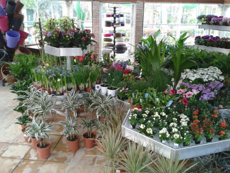 JARDIDEA, le nouveau centre jardinerie  à deux pas de Madrid