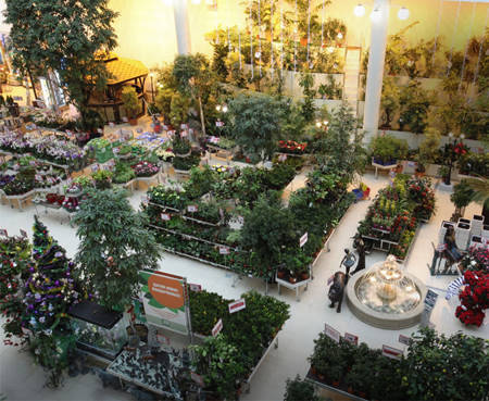 Abastecimiento de un Centro de jardinería en Russia, TVOY DOM