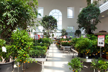 Abastecimiento de un Centro de jardinería en Russia, TVOY DOM