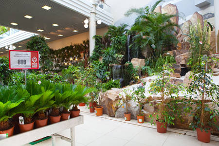  Fornitura per un Garden Center in Russia, TVOY DOM 