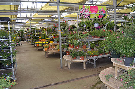 DIY 2012      عقد المنتدى الأوروبي الثاني