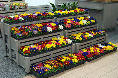 Punto Vendita di piante e fiori a Palazzolo (BS)