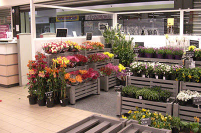 محل نباتات وزهور في بالاتسولو (BS)