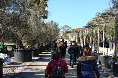 Tenutosi a Roma il Seminario tecnico "Landscape Design"