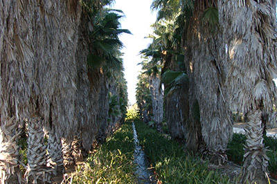 Tenutosi a Roma il Seminario tecnico "Landscape Design"
