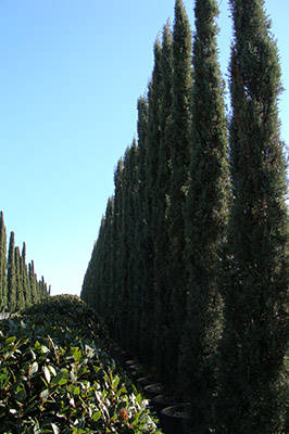 Held in Rome the Technical Workshop "Landscape Design"