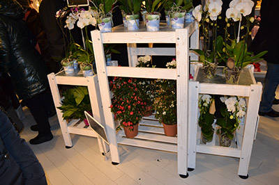 Realizzazione negozio “Fiori Fiori” – Borgo Buggiano