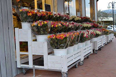 Flowershop “Fiori Fiori” – Borgo Buggiano