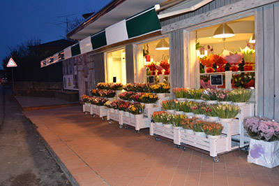 Flowershop “Fiori Fiori” – Borgo Buggiano