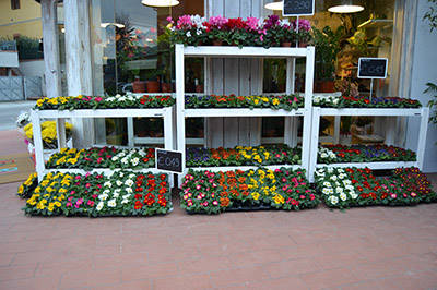 “Fiori Fiori” – Borgo Buggiano  متجر زهور