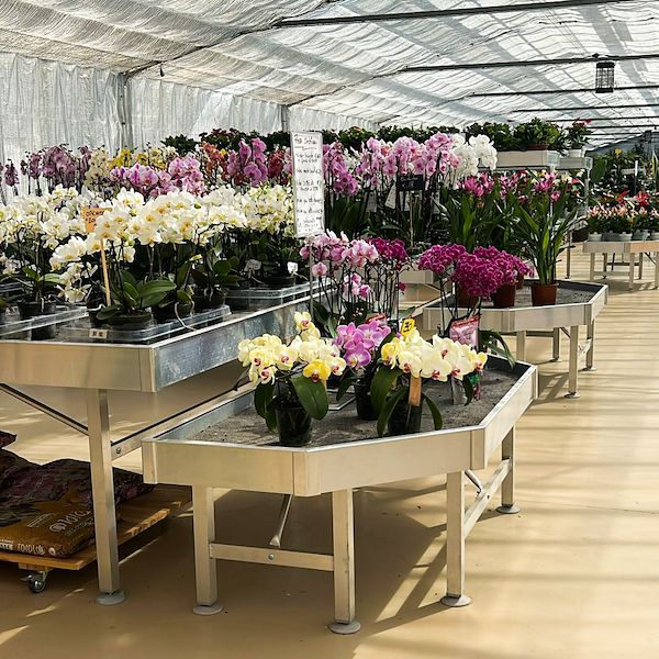 Dal vivaio al Garden Center: il restyling di Floricoltura Benda