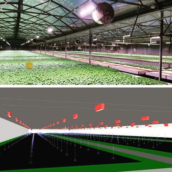 Feux à LED COMBO