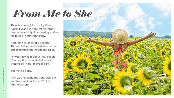 Pag 6 / 49 - GTR 2019