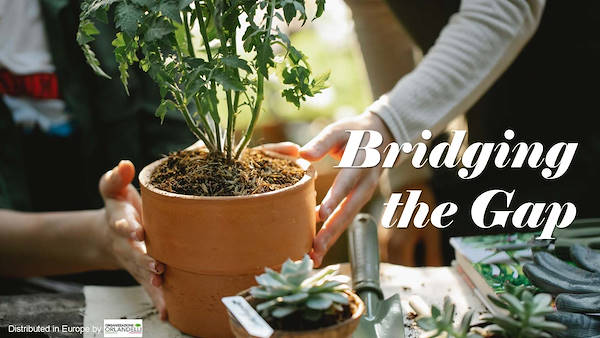 Garden Trends Report - Part Two