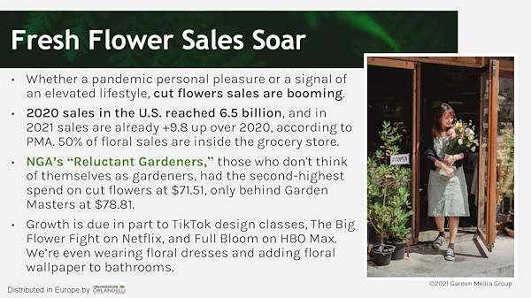 Garden Trends Report - Part Three