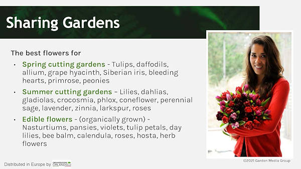 Garden Trends Report - Part Three